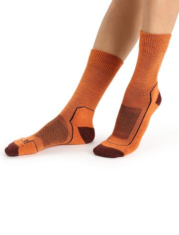 Icebreaker Merino Hike+ Light Crew Strumpor Dam Orange | SE 1523QMAZ